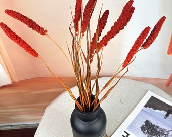 10 pcs Red millet ears grass,  dried flowers, wedding decoration, home decoration, DIY handicraft supply, vase filling, dried flower bouquet