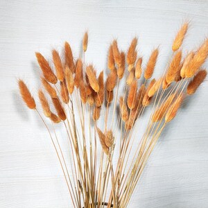 dark orange lagurus grassdried bunny tails grass bundlegrass bouquet for vase DIY craft supportwedding grass decor image 4