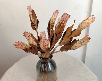 2/5 dried natural protea louts stems，dry flower branches with leaves，natural flower，dried flower for vase，flower arrangement，wedding decor