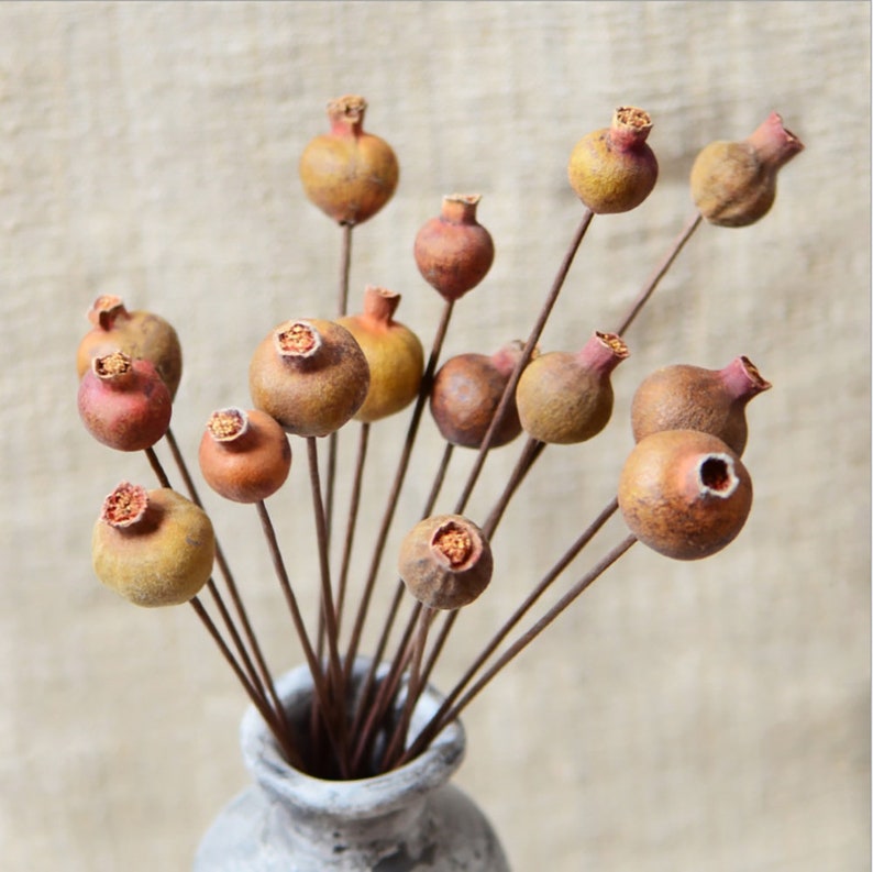 May include: A bouquet of dried, brown and orange pomegranate pods on thin brown stems in a gray ceramic vase.