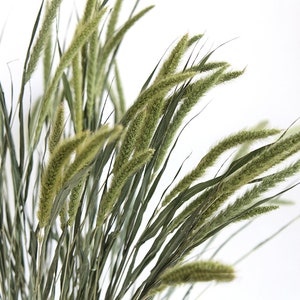 50 Sticks Natura Grass Bunch,dried Grass Bundle,dried Grass for Vase ...