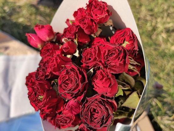 Dried Red Roses
