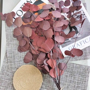 preserved silver dollar eucalyptus bundledried eucalyptus leaves branchesdried flower arrangementeucalyptus for vasehome wedding decor dark red-purple