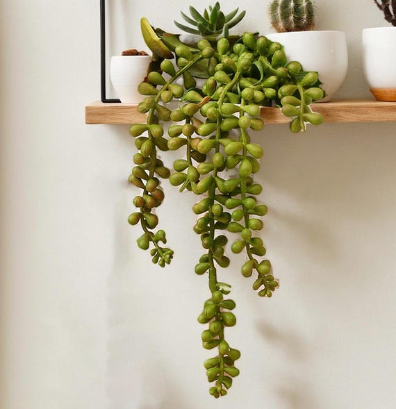 Faux succulent tears string14 inchartificial green plantsDIY handcraft  materialhanging wall decorhome wedding decor