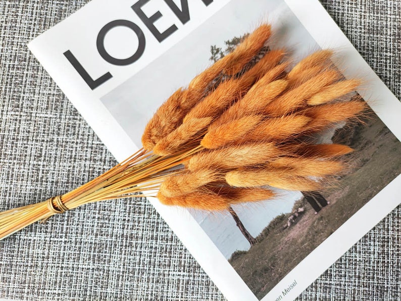 dark orange lagurus grassdried bunny tails grass bundlegrass bouquet for vase DIY craft supportwedding grass decor image 3