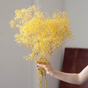 4 Color Preserved Gypsophila Bunch dried Baby's Breath Bouquetdried ...