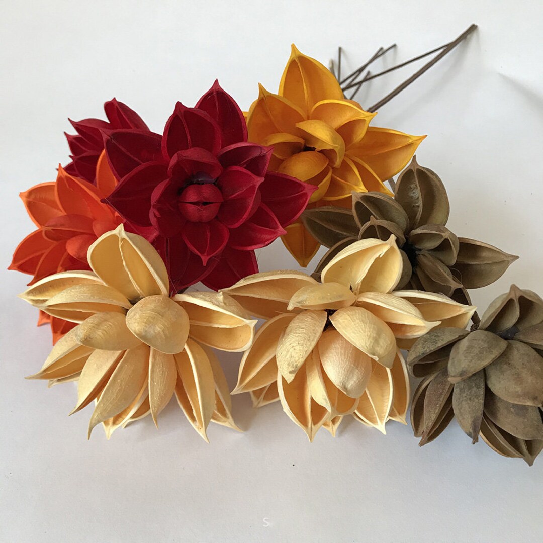 Handmade Wood Flower Stemsartificial Husk Flowernatural Etsy