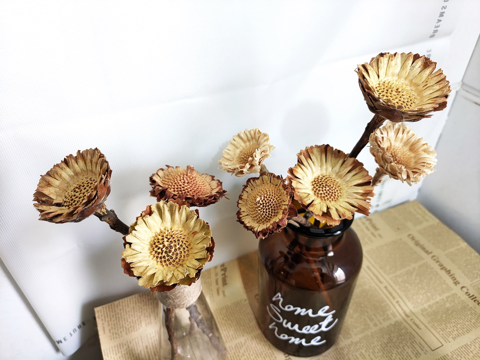 Dried South African Sun Flowerdried flowers branchesdried Etsy
