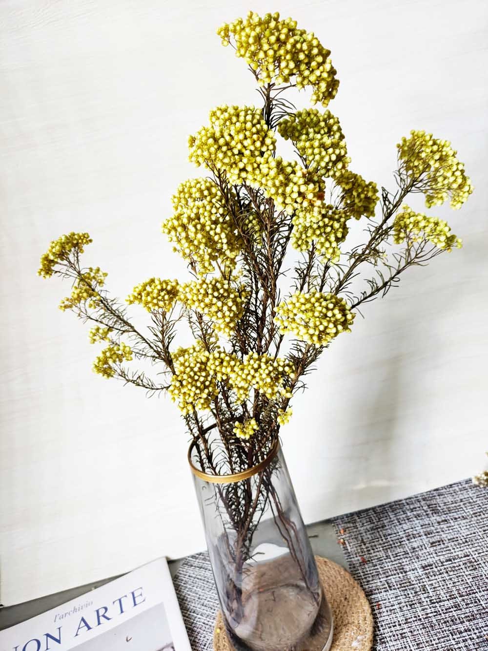 5 color dry rice flowers preserved rice flowers bouquetdried Etsy