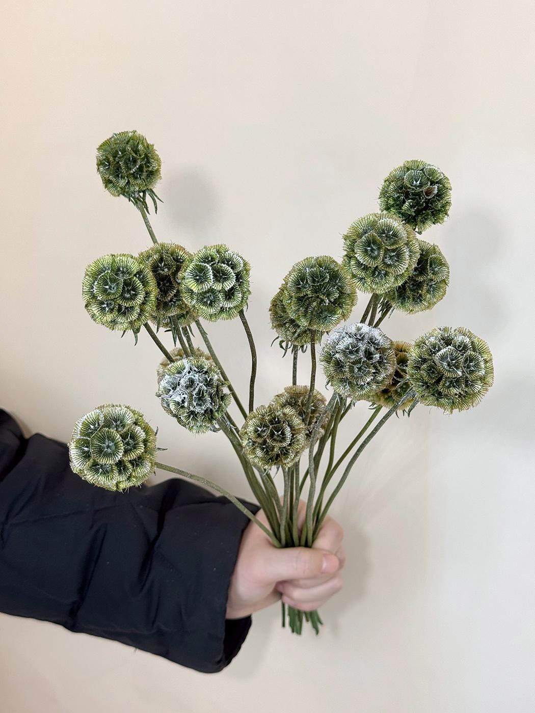 10 / 25 Stück trockene Scabiosa Schoten, konservierte Blütenschoten, natürliche Blütenschoten, Blumengesteck, Vasenfüller, Haus- / Hochzeitsdekor, Bastelzubehör
