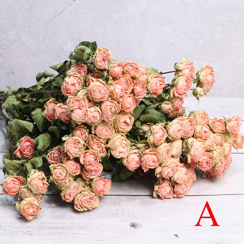 dried rose bouquet30 rose flower heads in a bunchdried rose flowers bouquetdried flowers arrangementdesk decor home decorwedding decor A