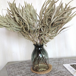 natural eucalyptus leaves branches，dried eucalyptus bundle，dried flowers arrangement，eucalyptus for vase，home decor，wedding decor