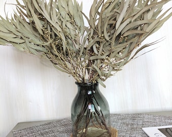 natural eucalyptus leaves branches，dried eucalyptus bundle，dried flowers arrangement，eucalyptus for vase，home decor，wedding decor