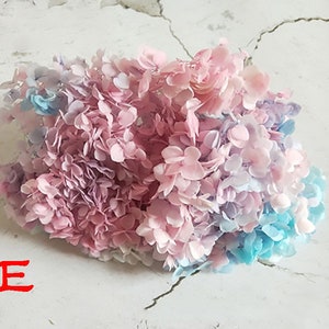 May include: A bouquet of dried hydrangeas in shades of pink, blue, and white. The flowers are arranged in a loose, natural style.