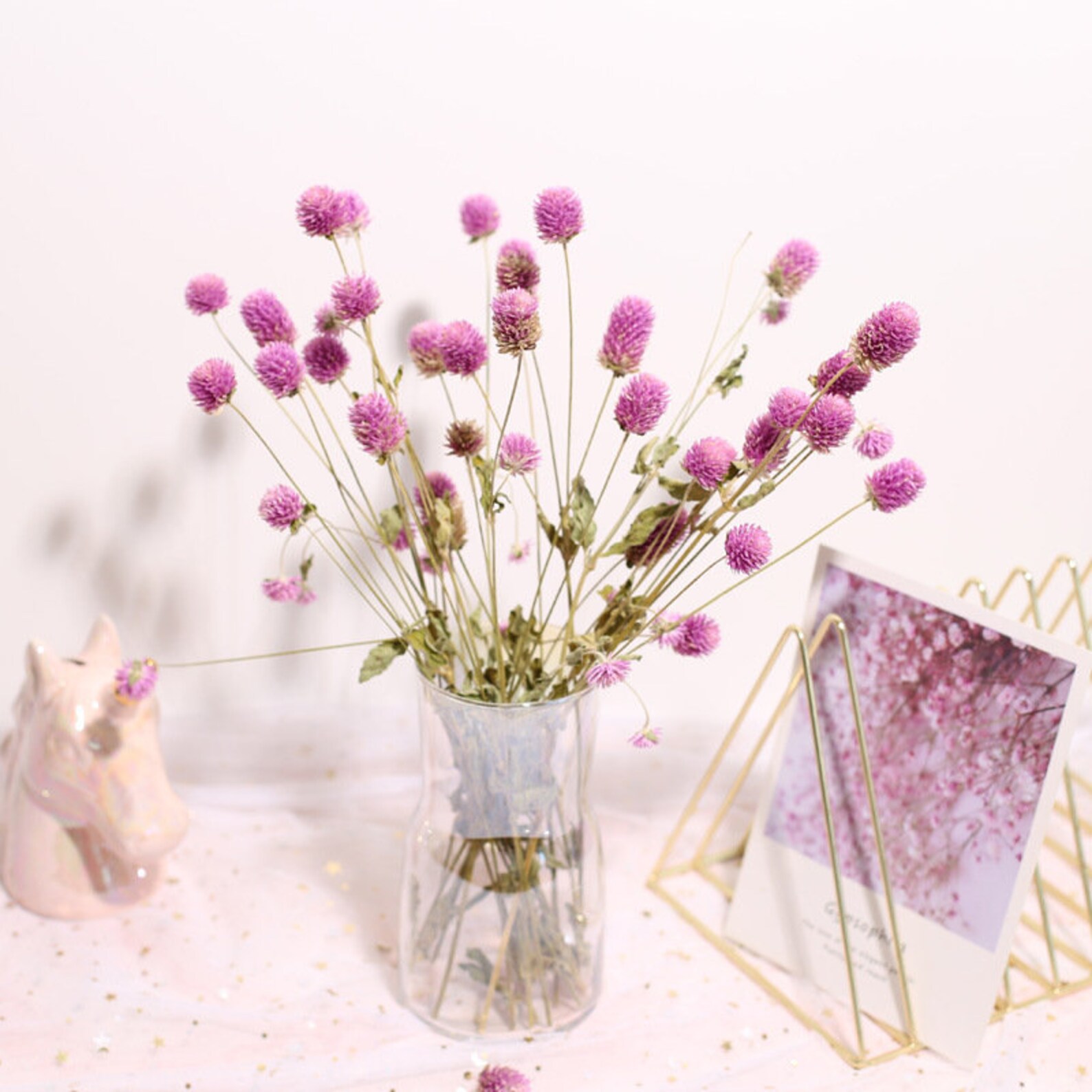 Dried Gomphrena Flowersglobe Amaranthdry Flowers Etsy