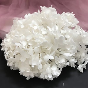 Preserved hydrangea, hydrangea dried flowers, embossed, hydrangea material, hydrangea for nail, floral decor home decoration white