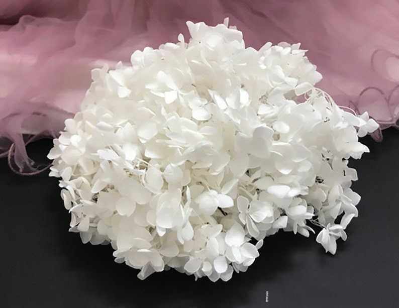 Preserved hydrangea, hydrangea dried flowers, embossed, hydrangea material, hydrangea for nail, floral decor home decoration white