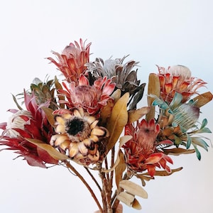 3 Farbe der getrockneten Protea Blume, natürliche Protea Queen Blume, trockene Blumengesteck, Blume für Vase, Haus- / Hochzeitsdekor, getrocknete Blumenkunst