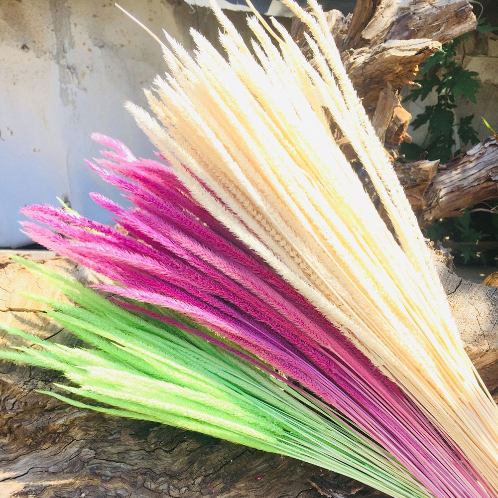 Dried grass bouquetnatural grassdried flowers Etsy