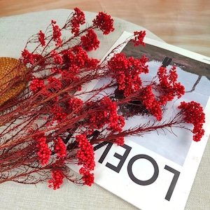 konservierte rote Reisblume, getrockneter Blumenstrauß, Bastelbedarf, Vasenfüllung, Heimdekoration, Hochzeitsblumendekor, Blumenarrangement
