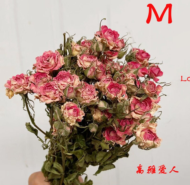 Dried Roses Flower Bundlenatural Rose Bud Flowerreal Rose - Etsy