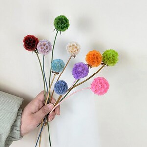 10 pcs Mixedcolor Scabiosa Pod,s preserved flower ball,natural flower, flower arrangement, vase filling, home/wedding decor，DIY craft supply