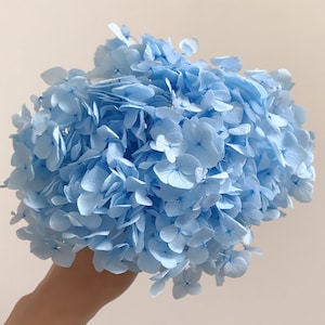 Preserved  hydrangea, hydrangea dried flowers, embossed, hydrangea material, hydrangea for nail, floral decor  home decoration