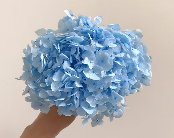 Preserved  hydrangea, hydrangea dried flowers, embossed, hydrangea material, hydrangea for nail, floral decor  home decoration