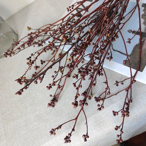 Natürliche Zweige Bündel, 10 Stöcke, getrocknete Blumen für hohe Vasenfüllung, Blumenarrangement, Trockenblumenkunst, Heimdekoration, Hochzeitspflanzendekor
