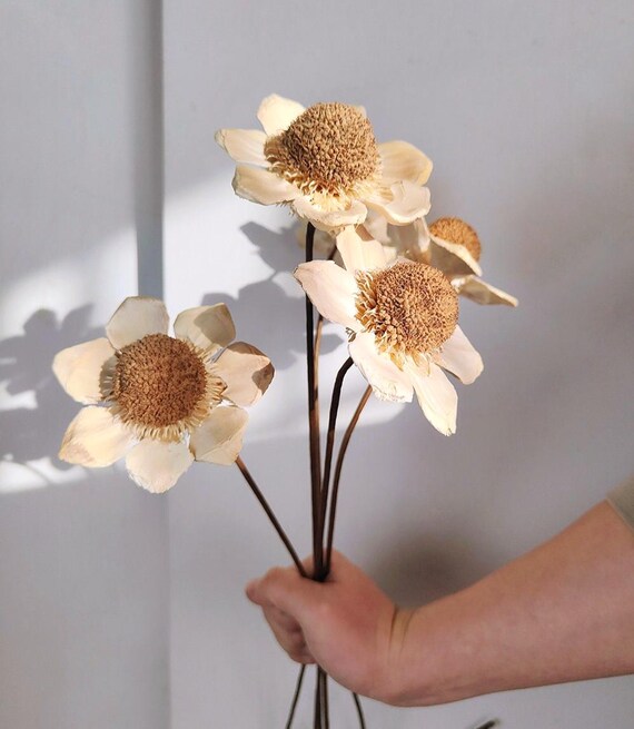 Minfuerang 6 Pezzi Schiuma Floreale 8x4 Cm, Cilindro In Spugna Floreale, Spugna Per Fiori Verde Per Fiori Secchi E Freschi, Per Feste, Casa, Matrimoni, Compleanni (6