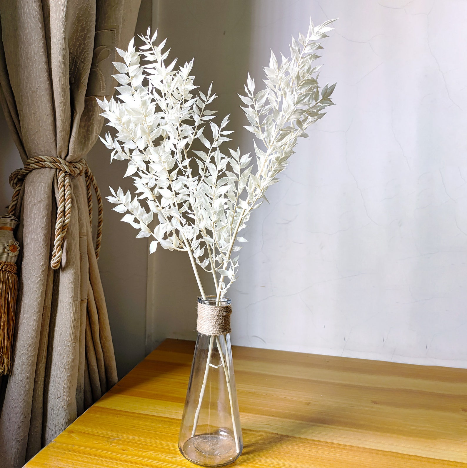 Dried Italian Ruscus Leaf Branchespreserved White Leaves Etsy