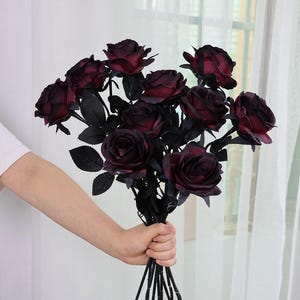 May include: A bouquet of dark red roses with black stems and leaves. The roses are in full bloom, with multiple petals visible. The bouquet is held in a hand, with the stems gathered together. The roses have a velvety texture and a deep, rich color.