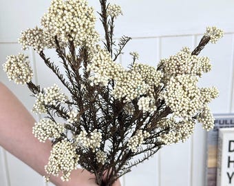 Ramo de flores de arroz secas naturales, flores secas para jarrón, arreglo floral seco, decoración de estilo rústico, arreglos florales DIY, decoración para bodas en el hogar