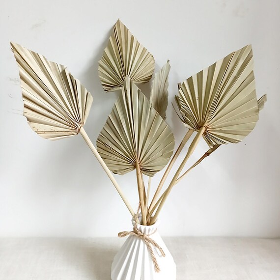 5/10 Dried Palm Leaves Samllnatural Hammer Palm Fan for Etsy