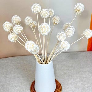 dried Scabiosa Pod, naturally dried Scabiosa Pod, dried flower arrangement, white flowers for vase filler, home/wedding flower decor