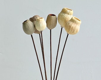5/10 ramas de flores de guisante natural, vainas de flores secas, arreglos florales secos, decoración del hogar/boda, flores para jarrones, decoración de eucalipto seco