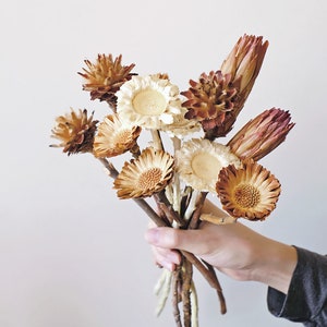 fiori di protea naturali, steli di protea veri, composizioni di fiori secchi, fiori secchi per vaso, forniture per bricolage, decorazioni per la casa, decorazioni per matrimoni