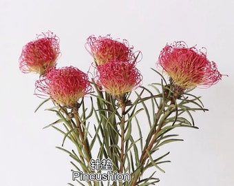 1/2/5 dried leucospermum flower，natural orange leucospermum branches，dry flower arrangement，flower for vase，home decor，wedding flower decor