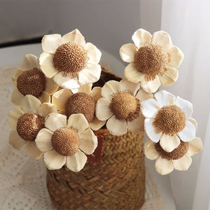 Può includere: Un mazzo di fiori secchi in un cesto intrecciato. I fiori sono bianchi con centri marroni e hanno un aspetto delicato e naturale.