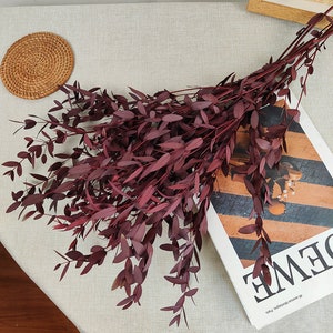 Preserved Parvafolia eucalyptus，dried eucalyptus leaves bunch，vase filling，flower arrangement DIY craft supply，home wedding eucalyptus decor