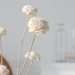 Sola Blume für Vasenfüllung, künstliche weiße Blume, getrocknete Blumenarrangement, Heimdekoration, Hochzeitsblumendekor, Bild 3