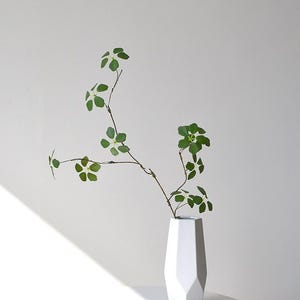 Pu&ograve; includere: Un vaso bianco geometrico contiene un delicato ramo con foglie verdi. Il vaso ha un design sfaccettato e si trova su una superficie bianca. Lo sfondo &egrave; una parete bianca, con un'ombra della luce solare.
