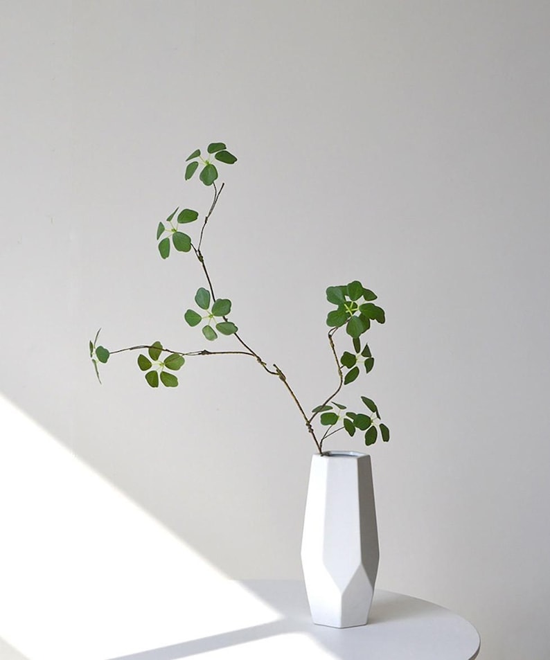 Pu&ograve; includere: Un vaso bianco geometrico contiene un delicato ramo con foglie verdi. Il vaso ha un design sfaccettato e si trova su una superficie bianca. Lo sfondo &egrave; una parete bianca, con un'ombra della luce solare.