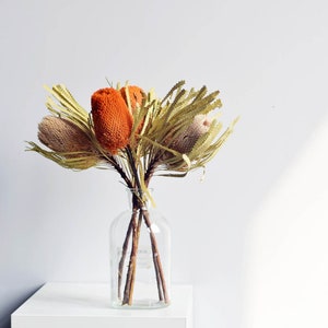 Flores secas de Banksia, tallos naturales de Banksia, arreglos florales secos, flores para jarrones, decoración floral para bodas.
