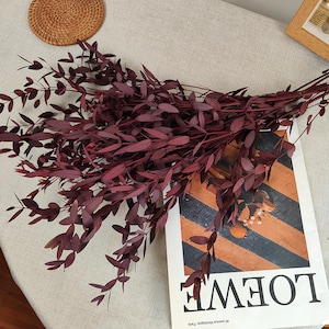 dried eucalyptus leaves，preserved eucalyptus bunch，dried flowers arrangement，dried eucalyptus wedding decor，home decor ，eucalyptus decor