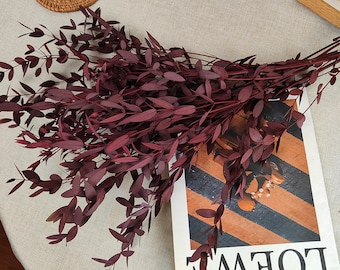 May include: A bunch of dried burgundy eucalyptus stems with long, narrow leaves. The stems are arranged in a fan shape and are lying on a white surface with a magazine in the background.