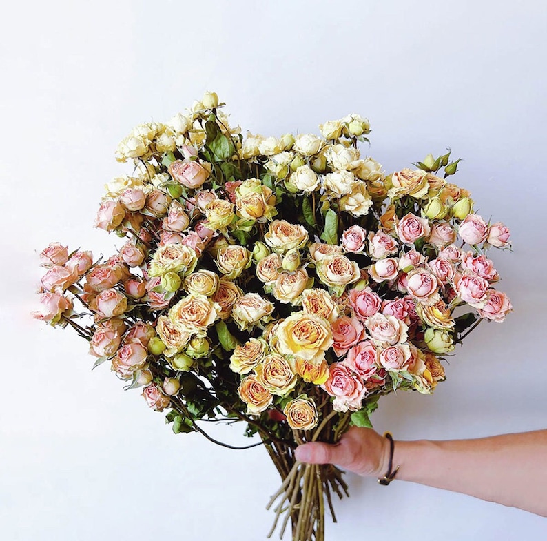 Dried Roses Flower Bundlenatural Rose Bud Flowerreal Rose - Etsy