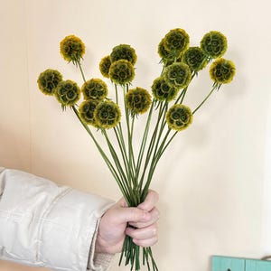 10/25 pcs dry Scabiosa Pod，preserved flower ball,dried flower arrangement, natural plants, vase filling, home/wedding decor，DIY craft supply