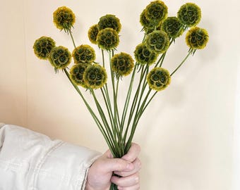 10/25 pcs dry Scabiosa Pod，preserved flower ball,dried flower arrangement, natural plants, vase filling, home/wedding decor，DIY craft supply