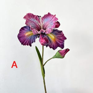 May include: A single purple and yellow iris flower with a bud on a green stem. The flower has a white outline and is a vibrant color.